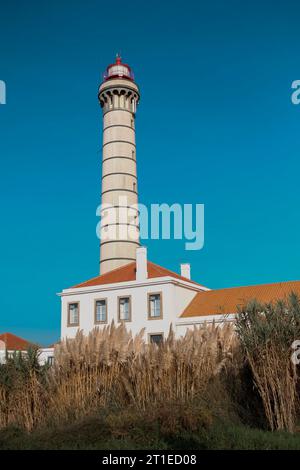 Blick auf den Leuchtturm Leca an der Atlantikküste, Portugal. Stockfoto