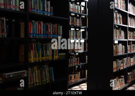 Regale mit Büchern in einer Bibliothek mit natürlichem Licht aus dem Hintergrund Stockfoto