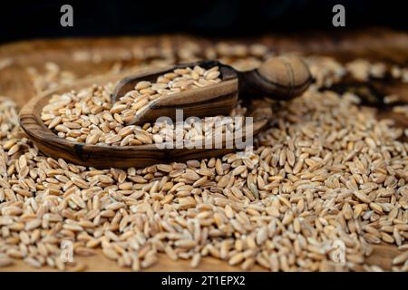 Ein Haufen Dinkel Triticum aestivum spelta auf Olivenholz Stockfoto