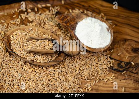 Ein Haufen Dinkel Triticum aestivum spelta auf Olivenholz Stockfoto