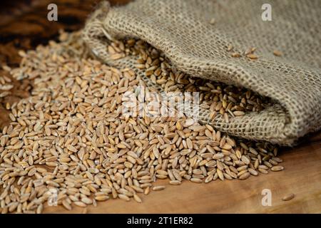 Ein Haufen Dinkel Triticum aestivum spelta auf Olivenholz Stockfoto