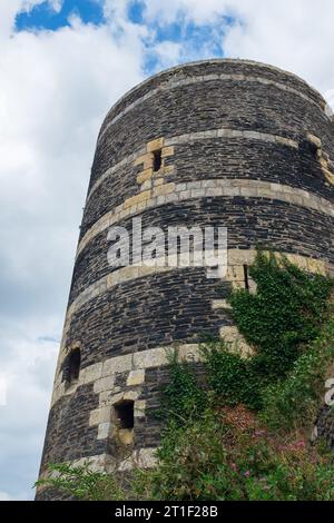 Angers, Frankreich, 2023. Am Château d'Angers, dem runden Turm, bekannt als Tour du Moulin, mit rotem Baldrian (Valeriana lecoqii) am Fuß Stockfoto