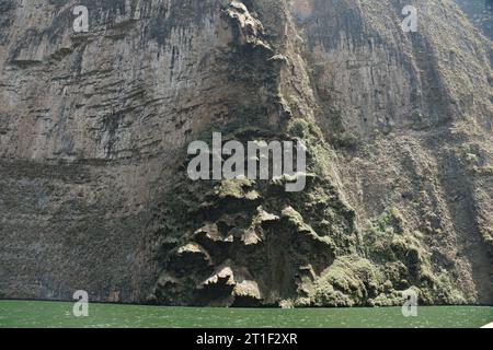 weihnachtsbaum, Kalkstein, Hügel, Berg, sumidero Canyon in chiapas mexiko Stockfoto