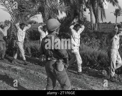 JOM KIPPUR WAR. AUF DEM FOTO, ÄGYPTISCHE KRIEGSGEFANGENE. IDF-Foto von AZOURI MENASHE Stockfoto