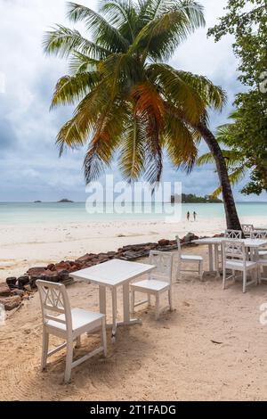 Blick auf das Meer mit weißen Holztischen und -Stühlen unter Kokospalmen. Cote D'Or Beach, Praslin Island, Seychellen. Vertikales Foto Stockfoto