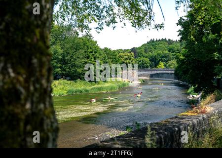 Kanu- und Kajakfahren auf dem Fluss Ourthe vorbei am Dorf Durbuy in den belgischen Ardennen Stockfoto