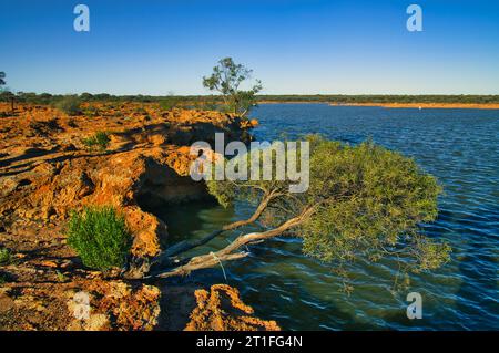 Das Ufer eines kleinen Sees im Outback Westaustraliens, knorriger Eukalyptus, der über dem Wasser hängt, schimmert in der untergehenden Sonne ein lebhaftes rötliches Braun. Stockfoto