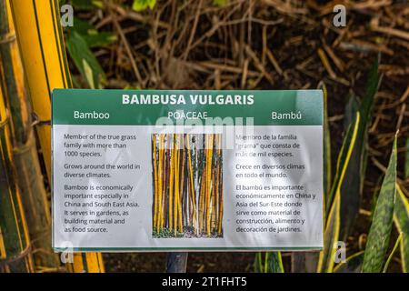 Guatemala, La Antigua - 20. Juli 2023: Finca La Azotea Museen. Schild vor Bambus im Park Stockfoto