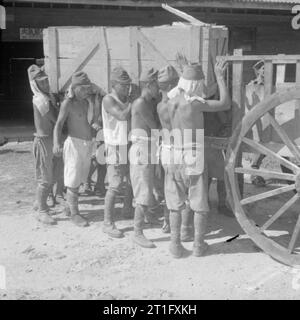 Die britische Wiederbesetzung von Singapur japanische Kriegsgefangene bewegen eine schwere Verpackung Kiste aus einem ordnance Depot in Singapur. Stockfoto