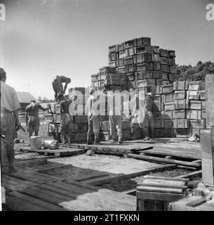 Die britische Wiederbesetzung von Singapur japanische Kriegsgefangene bei der Arbeit stapeln leere Verpackung Kisten für die Wiederverwendung am 93. Base Auslieferungslager auf der Insel Singapur. Stockfoto