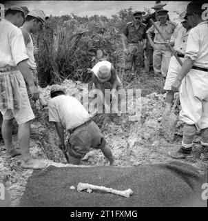 Die britische Wiederbesetzung von Singapur japanische Kriegsgefangene Exhumieren der Körper einer alliierten Kriegsgefangenen gedacht, durch die Japaner während in Gefangenschaft getötet worden zu sein. Eine Reihe von Exhumierungen wurden von einem Team unter Captain R S Ross der Royal Army Medical Corps mit dem Ziel der Gewinnung der Beweis der japanischen Gräueltaten für die Kriegsverbrecherprozesse in Singapur statt. Stockfoto