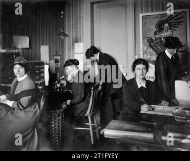 Olivenöl Edis; Iwm Fotograf der Leistungen der Frauen in Frankreich 1919 Mitglieder der freiwilligen Hilfe Loslösung (VAD) bei der Arbeit im Büro Schwester Barbier in Boulogne-sur-Mer, Frankreich, während des Ersten Weltkriegs. Stockfoto