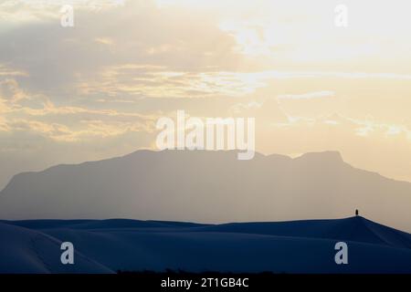 Allein auf den Dünen Stockfoto