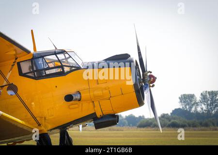 Nase eines alten gelb lackierten Flugzeugs mit Cockpit und Propeller Stockfoto