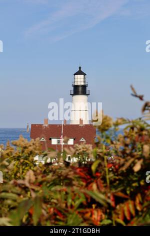 Leuchtturm im Herbstlaub Stockfoto