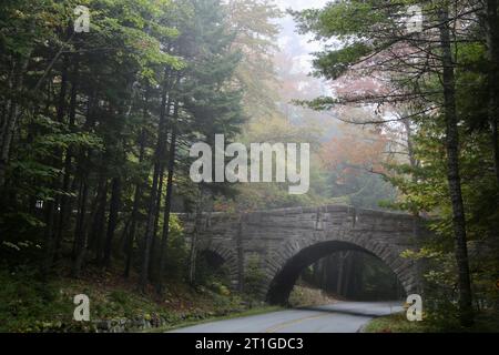 Felsbrücke in Acadia Stockfoto