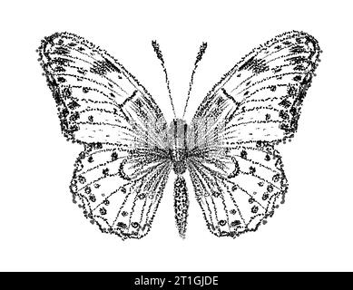 Grafischer Schmetterling mit schwarzen Punkten. Handzeichnung. Nicht AI, Illustrat3 . Vektorabbildung Stock Vektor