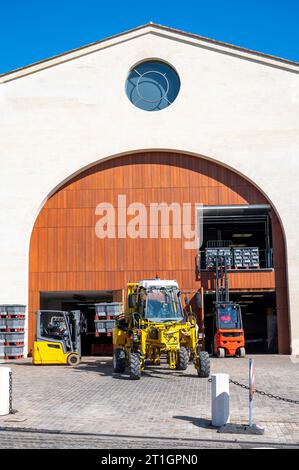 Weinberge im Dorf Pauillac, Erntearbeiten, reife Trauben bereit zur Ernte, Haut-Medoc Weinberge in Bordeaux, linkes Ufer der Mündung Gironde, Frankreich, Stockfoto