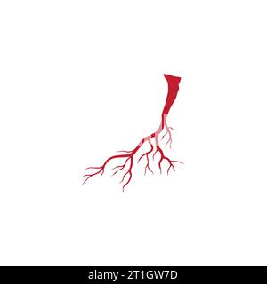 Menschliche Venen, Design der roten Blutgefäße und Arterien Vektor-Illustration isoliert Stockfoto