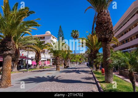 Promenade mit Palmen in Los Cristianos im Süden von Teneriffa, Kanarische Inseln Stockfoto