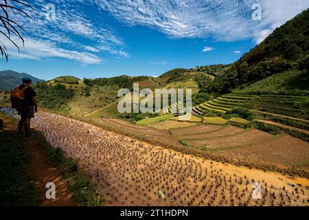 Trekking über die fantastischen Reisterrassen von Mu Cang Chai, Yen Bai, Vietnam Stockfoto