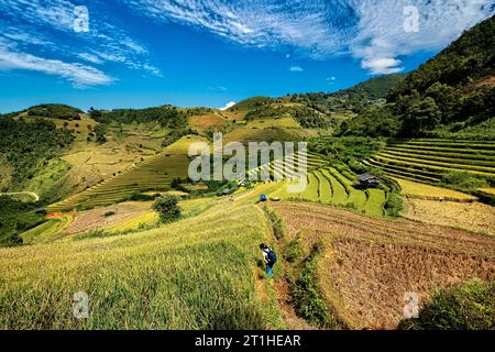 Trekking über die fantastischen Reisterrassen von Mu Cang Chai, Yen Bai, Vietnam Stockfoto