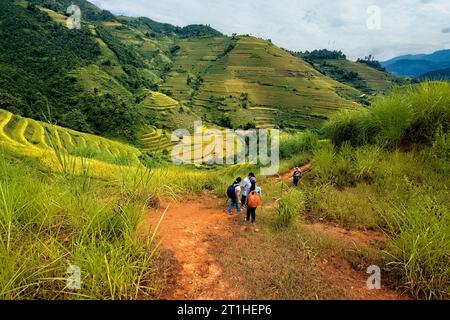 Trekking über die fantastischen Reisterrassen von Mu Cang Chai, Yen Bai, Vietnam Stockfoto