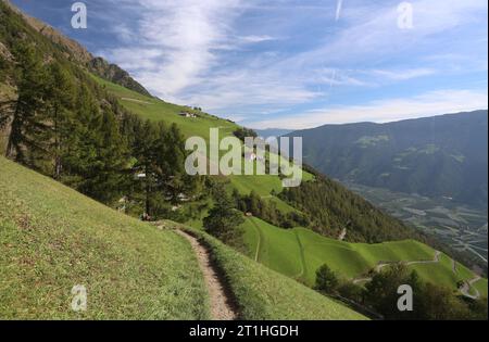 Naturns, Italien, Südtirol 11. Oktober 2023 hier der Blick am Naturnser Sonnenberg oberhalb von Naturns im Vinschgau auf den Meraner Höhenweg, 24, in Richtung Unterer Vinschgau, Almen, Höfe, wandern, spazieren, Bergwandern, Panorama, Tourismus Credit: Imago/Alamy Live News Stockfoto