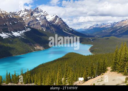 Der türkisfarbene Lake Peyto im Banff National Park, Kanada. Mountain Lake als „Fuchskopf“ ist bei Touristen beliebt. Stockfoto