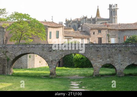 Carcassonne ist eine französische Festungsstadt im Departement Aude in Okzitanien. Stockfoto