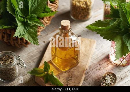 Brennnesseltinktur in einer Flasche mit frischen Blättern Stockfoto