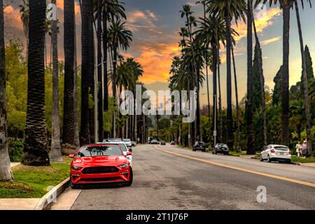 Fahrzeug, das auf der berühmten Palmenallee in Beverly Hills in Los Angeles in den Vereinigten Staaten von Amerika geparkt ist, ist eine sehr bekannte und geschäftige Straße Stockfoto