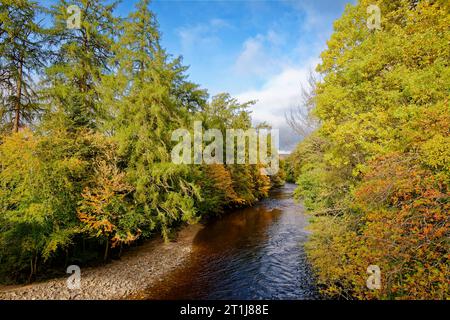 Brücke von Avon über den Fluss Avon bei Ballindalloch in Moray, der Fluss gesäumt von Bäumen in frühen herbstlichen Farben Stockfoto