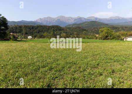 Blick auf den Weg Via Francigena in Lunigiana, Italien Stockfoto