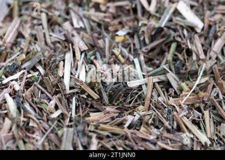 Ein Nahporträt von heartsease getrocknetem losen Tee. Bereit für die Verwendung in einem warmen, entspannenden Getränk für einige Zen Zeit. Stockfoto