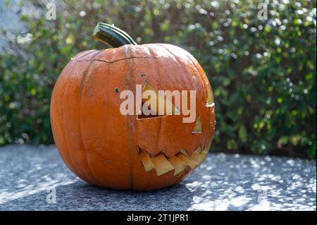 Selbstgeschnitzter Kürbis mit aggressivem und unheimlichem Gesicht als Dekoration für Halloween Stockfoto