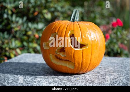 Selbstgeschnitzter Kürbis mit verängstigtem und unheimlichem Gesicht als Dekoration für Halloween Stockfoto