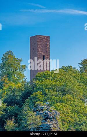 Blick auf Schloss Scharfenberg im Pfälzerwald. Touristenattraktion in Rheinland-Pfalz. Deutschland, Europa Stockfoto