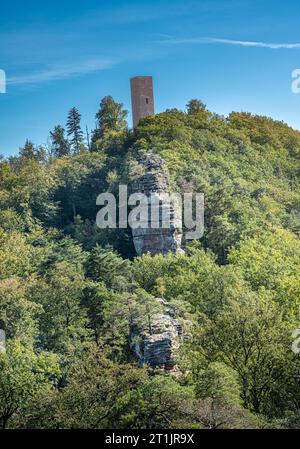 Blick auf Schloss Scharfenberg im Pfälzerwald. Touristenattraktion in Rheinland-Pfalz. Deutschland, Europa Stockfoto