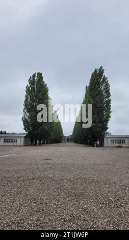 DATENSATZDATUM NICHT ANGEGEBEN Merkmal/Symbol: KZ-Gedenkstätte Dachau 07/23 Babs die KZ-Gedenkstätte Dachau im Juli 2023 Deutschland Bayern deutsch deutsches deutsche Geschichte Konzentrationslager KL Nationalsozialismus NS-Zeit Blick vom Appellplatz auf Lagerstraße und Baracken deutsches Konzentrationslager hoch *** Feature Symbol KZ-Gedenkstätte Dachau 07 23 Babs die KZ-Gedenkstätte Dachau im Juli 2023 Deutschland Bayern Deutsche Geschichte Konzentrationslager KL Nationalsozialismus NS Zeitansicht vom Wappengelände zur Lagerstraße und Kaserne deutsches Konzentrationslager hoch Stockfoto