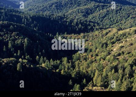 Wald-Entwässerung-Übersicht, Castle Rock State Park, Kalifornien Stockfoto