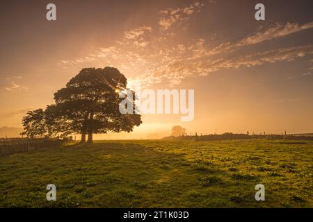 Ein nebeliger Sonnenaufgang im Millers Dale im Peak District. Stockfoto