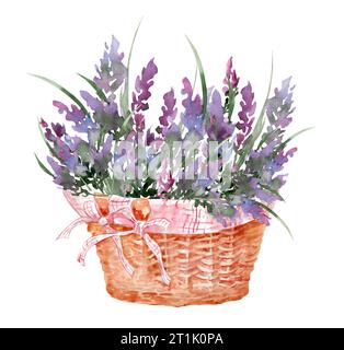 Lavendelstrauß in einem Korb. Hand gezeichnete Aquarellillustration von lila Blumen isoliert auf weißem Hintergrund Stockfoto