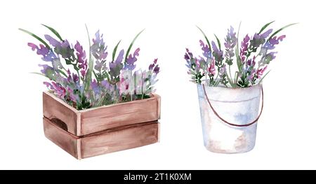 Lavendelstrauß in Vintage Holzkiste und Eimer. Set von handgezeichneten Aquarellillustrationen von violetten Blumen in Gartenwerkzeugen Stockfoto