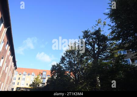 Kopenhagen, Dänemark /14. Oktober. 2023/Dänische Balkone in der dänischen Hauptstadt Kastrup . Photo.Francis Joseph Dean/Dean Pictures Credit: Imago/Alamy Live News Stockfoto