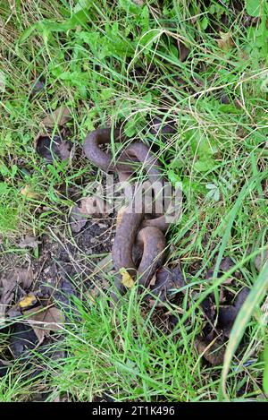 Rund um Großbritannien - Erkundung des River Ribble in Preston Stockfoto