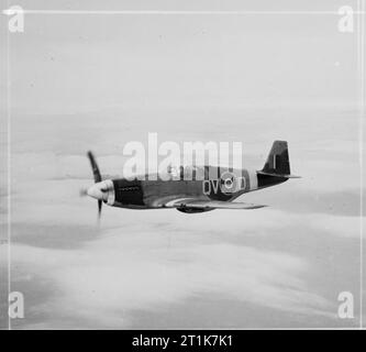 Royal Air Force 1939-1945 - Fighter Command Mustang III Nr. 19 Squadron, bei Ford, im Flug, 21. April 1944. Es trägt den standard Mustang Anerkennung Markierungen der weißen Spinner, Nase und Flügel Bands. Die Produktion der Allison zweimotorigen Mustang I und II wurde Mitte-1943 angehalten, um den Weg für die Merlin-Mk III. Der neue Mustang wurde für die Luft ausgelegt - Überlegenheit Rolle, und gab schließlich sowohl die USAAF und RAF eine einsitzige Jagdflugzeug, die ausgezeichnete high-altitude Leistung mit einer herausragenden Produktpalette (Combat Radius war 750 Meilen mit Drop-tanks kombiniert). Stockfoto