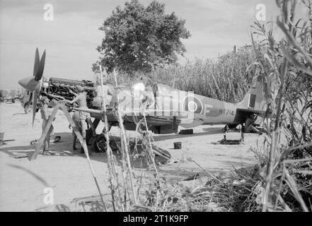 Royal Air Force in Malta, Gibraltar und das Mittelmeer, 1940-1945. Operation Dragoon: die Invasion der Alliierten im Süden Frankreichs. Mechanik Wartung Supermarine Spitfire Mark VIII, MT714 "FT-F, Nr. 43 Squadron RAF, in Ramatuelle Landeplatz. Stockfoto