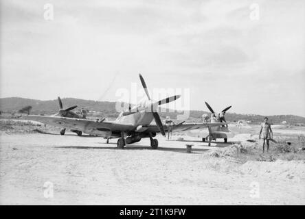 Royal Air Force in Malta, Gibraltar und das Mittelmeer, 1940-1945. Operation Dragoon: die Invasion der Alliierten im Süden Frankreichs. Supermarine Spitfire Mark VIIIs und IXs von Nr. 43 Squadron RAF an Zerstreuung Punkte, in Ramatuelle Landeplatz geparkt. Stockfoto