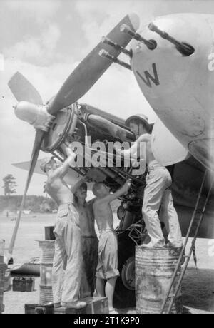 Royal Air Force in den Fernen Osten, 1941-1945 Bodenpersonal der Nr. 110 Squadron RAF Service Der steuerbordmotor einer De Havilland Mosquito FB Mark VI bei Joari, Indien (von links nach rechts) führenden Aircraftman E Crandon von Nechells, Birmingham Corporal EIN G Jackson von Mickleover, Derbyshire führenden Aircraftman G Simpson von Feltham, Middlesex Aircraftman C N König von Tottenham, London Stockfoto
